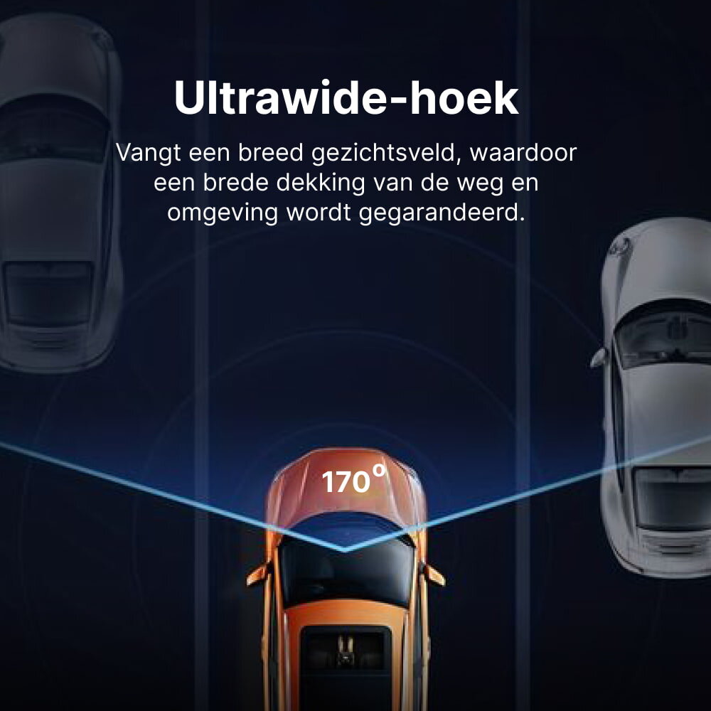 DashOne Pro image