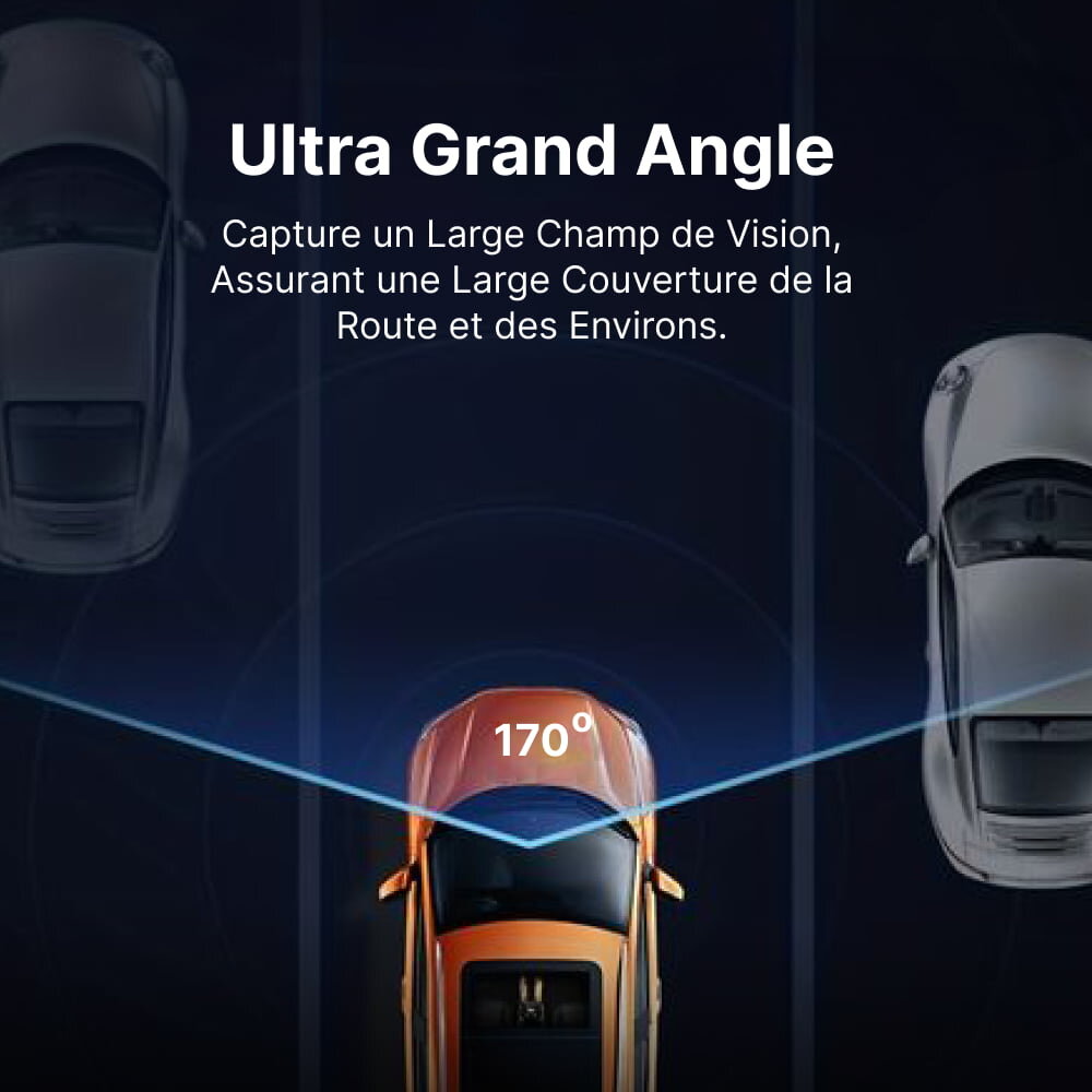 DashOne Pro image
