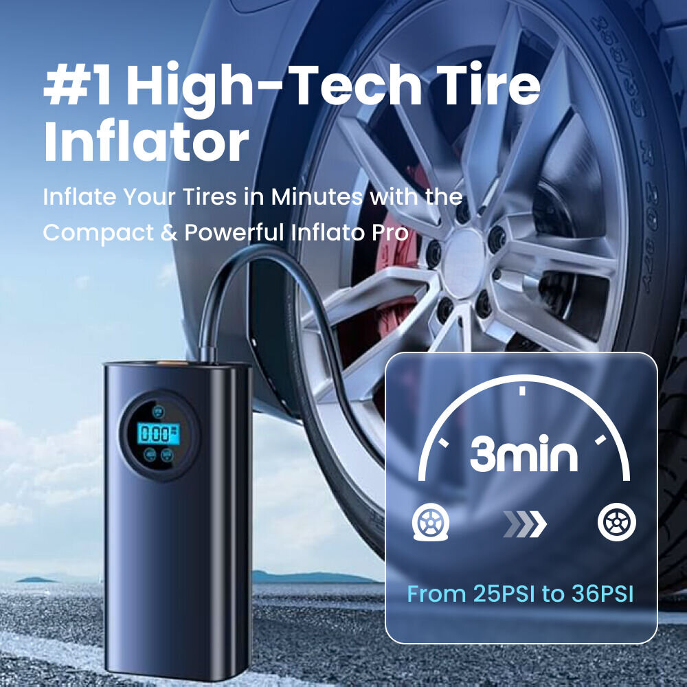 DashOne Pro image